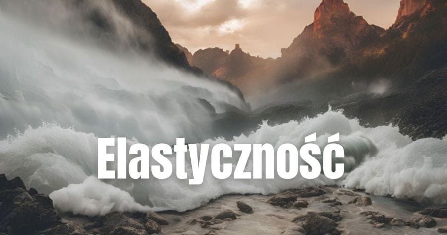 Elastyczność (flexibility) 1 Czym jest elastyczność psychologiczna