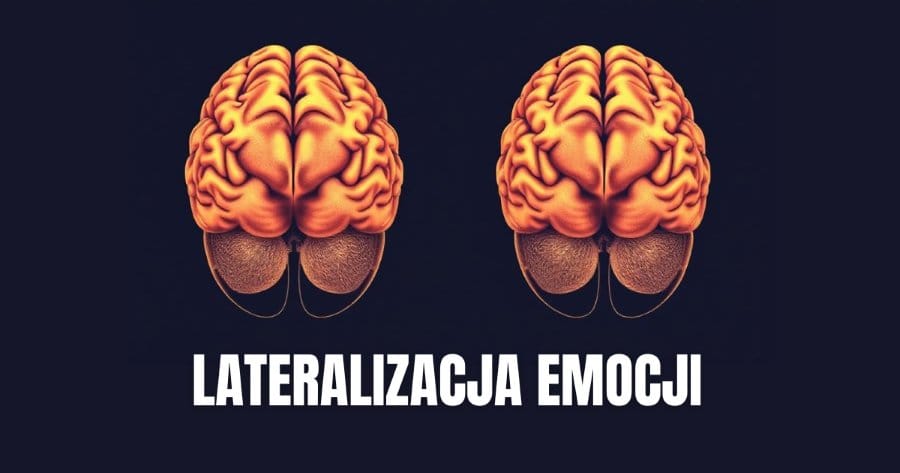 Lateralizacja emocji (lateralization of emotion) 1 Czym jest lateralizacja emocji?