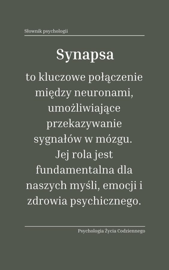 Synapsa (synapse) 1 co to jest synapsa