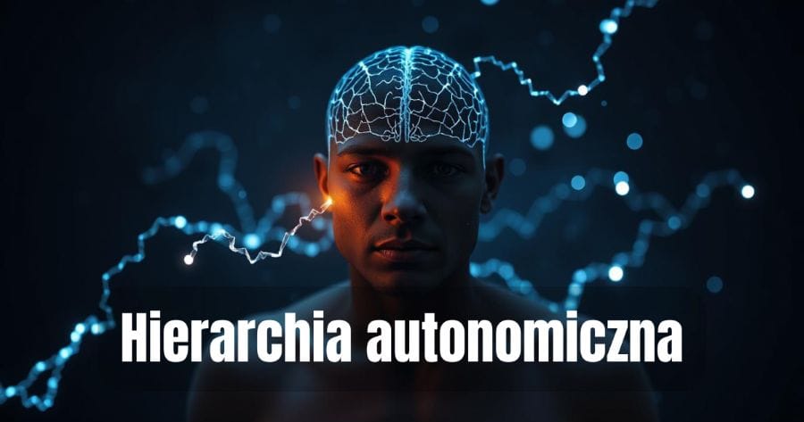 Hierarchia autonomiczna (autonomic hierarchy) 1 Czym jest hierarchia autonomiczna