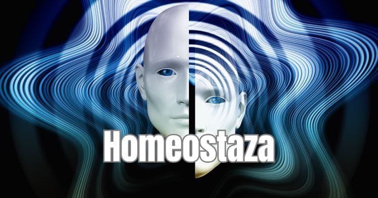Homeostaza 1 Co to jest homeostaza (homeostasis)